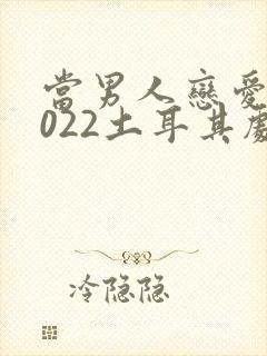 当男人恋爱时2022土耳其剧
