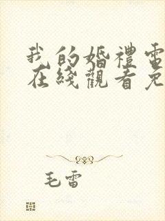 我的婚礼电视剧在线观看免费高清封面