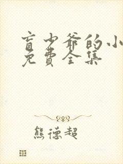 盲少爷的小女仆免费全集