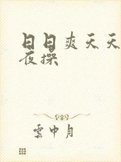 日日爽天天操夜夜操