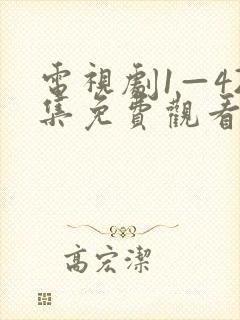 电视剧1—42集免费观看
