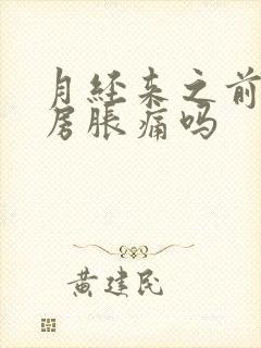 月经来之前会乳房胀痛吗封面
