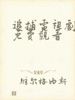 追捕电视剧全集免费观看
