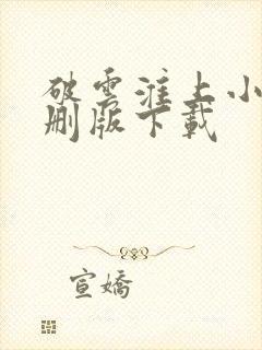 破云淮上小说未删版下载