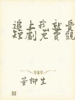 追上我就爱上你短剧免费观看封面