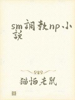 sm调教np小说