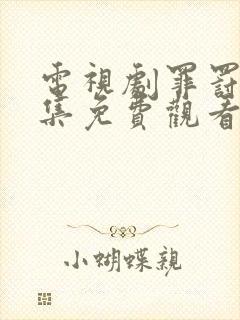 电视剧罪罚38集免费观看全集