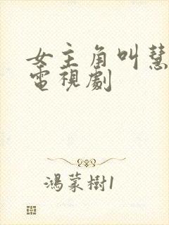 女主角叫慧敏的电视剧封面