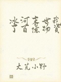冰河末世我囤积了百亿物资免费阅读