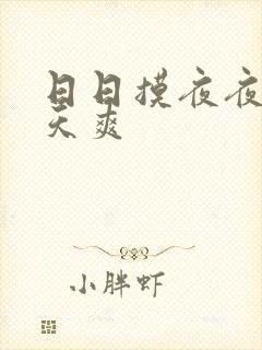 日日摸夜夜操天天爽
