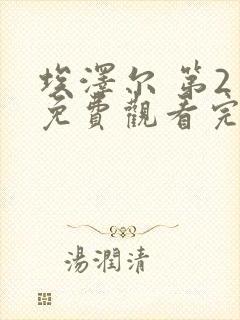 埃泽尔 第2季免费观看完整版