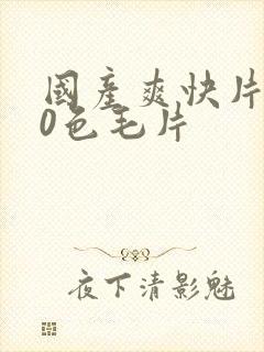 国产爽快片100色毛片
