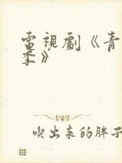 电视剧《青春无季》封面