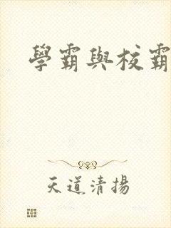 学霸与校霸