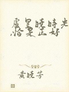 卢昱晓时光与他,恰是正好封面