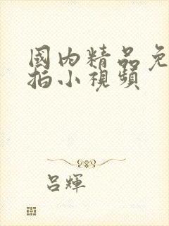 国内精品免费偷拍小视频