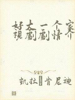 好大一个家 电视剧剧情介绍封面