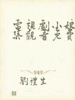 电视剧小娘惹全集观看免费封面