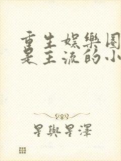 重生娱乐圈喊麦是主流的小说封面