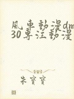 风车动漫dm530专注动漫的门户网站