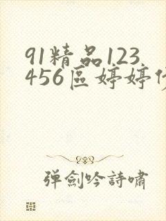 91精品123456区婷婷伊人久久