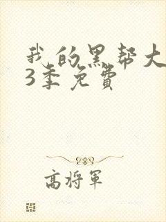 我的黑帮大佬第3季免费