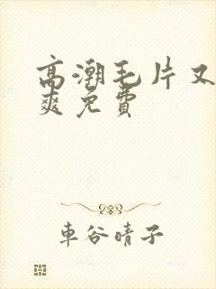 高潮毛片又色又爽免费