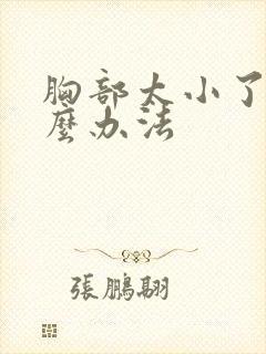 胸部太小了有什么办法