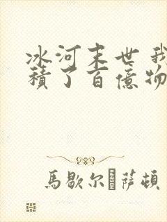 冰河末世 我囤积了百亿物资
