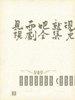 见面吧就现在电视剧全集免费观看