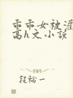 乖乖女被灌满精高h文小说