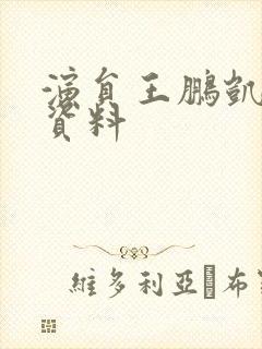 演员王鹏凯个人资料