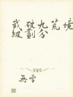 武破九荒境界等级划分