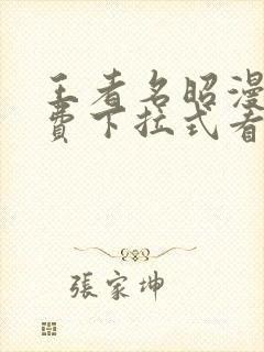 王者名昭漫画免费下拉式看漫画