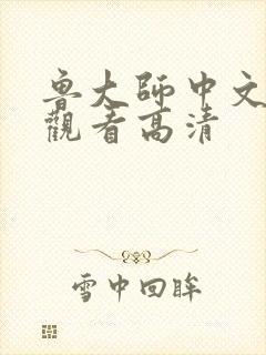 鲁大师中文在线观看高清
