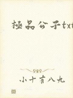 极品公子txt