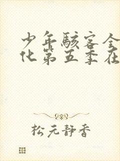 少年骇客全面进化第五季在线观看