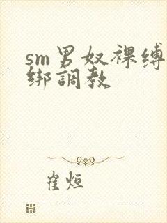 sm男奴裸缚捆绑调教