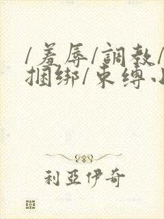 /羞辱/调教/捆绑/束缚小说