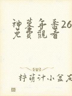 神墓年番26集免费观看封面
