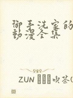 御手洗家的姐姐动漫全集封面
