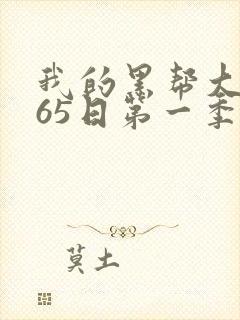 我的黑帮大佬365日第一季在线看