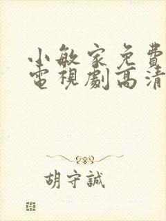 小敏家免费观看电视剧高清封面