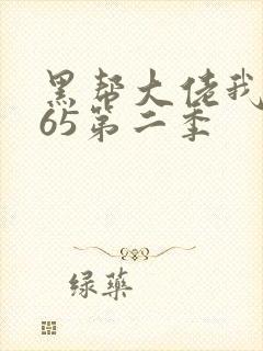 黑帮大佬我的365第二季