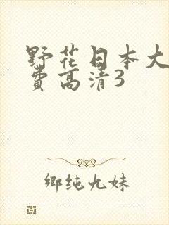 野花日本大全免费高清3