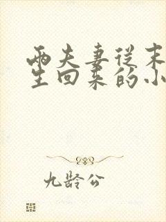 两夫妻从末世重生回来的小说