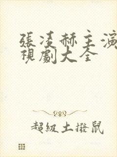 张凌赫主演的电视剧大全