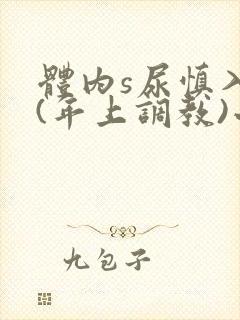 体内s尿慎入h(年上调教)小说