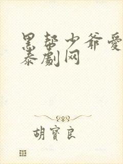黑帮少爷爱上我泰剧网