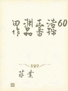 田渊正浩60部作品番号